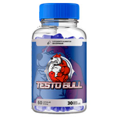 Testo-Bull.png